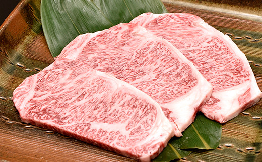 近江牛ロースステーキ【450g】【DK05W】