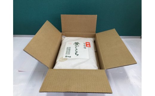 【新米】【7年産】近江米夢ごこち【5kg×1袋】【T034W2】