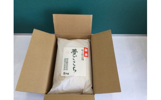 【新米】【7年産】近江米夢ごこち【5kg×2袋】【T035W2】