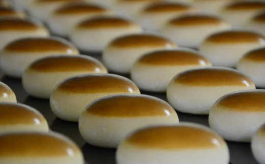 【年内発送】【たねや】栗饅頭６・斗升最中６個入【FT03W】