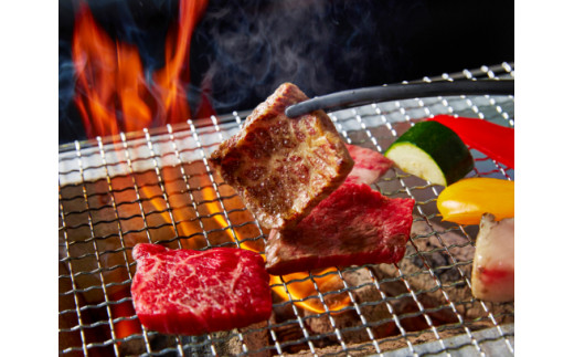 A5等級 未経産雌 特選近江牛おすすめ部位 焼肉3種盛り合わ