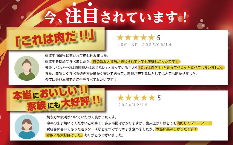 近江牛１００％　プレミアム生ハンバーグ　720g（約120g×6個