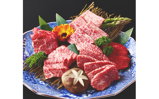 近江牛食べつくし定期便　６回　焼肉　すきしゃぶ　ステ