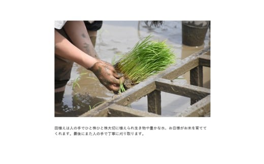 【７年産】ラ コリーナ米　白米（2kg）【FT18W】