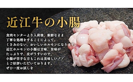 味付けホルモン　秘伝のタレ漬け　近江牛小腸　900g（300g×3