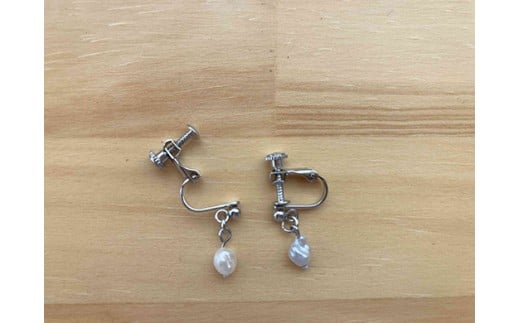 琵琶パールのアクセサリー作り＆真珠養殖体験ツアー【FG04W