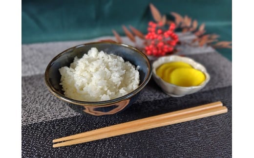 【7年産】近江米 環境こだわり米 みずかがみ 無洗米【5kg×1