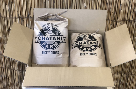 【新米】【7年産】近江米　コシヒカリ 白米【10kg（5kg×2袋