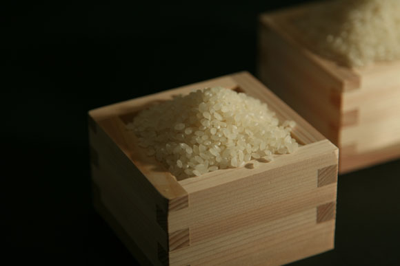 【新米】【7年産】近江米　コシヒカリ　白米【20kg（10kg×2