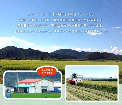 【新米】【7年産】近江米　にこまる白米【10kg【5kg×2袋）】