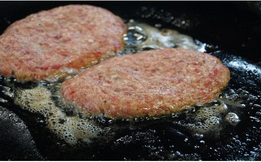 【年内発送】近江牛煮込みハンバーグ　自家製デミグラス