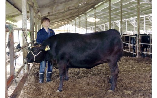 生産牧場指定　近江牛味噌漬け（希少大豆使用の減塩味噌