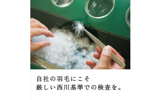 【数量限定】【西川】羽毛掛けふとん/ホワイトダックダウ