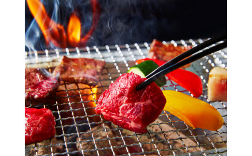 A5等級 未経産雌 特選近江牛おすすめ部位 焼肉3種盛り合わ