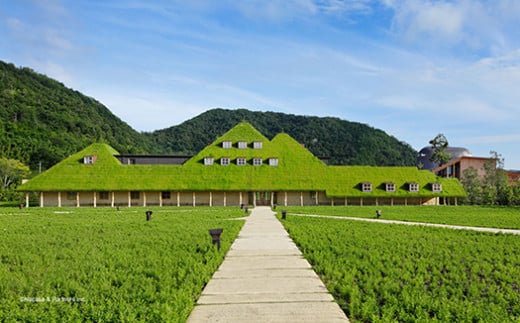 【年内発送】【クラブハリエ】【限定】近江八幡バームク
