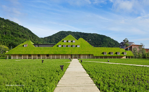 【年内発送】【クラブハリエ】【限定】近江八幡バームク