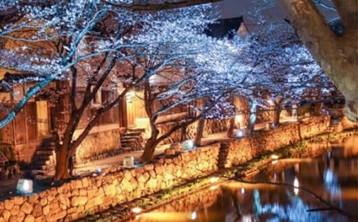 【返礼品なし】滋賀県近江八幡市への応援寄附金　10,000円