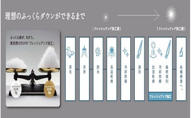 【nishikawa/西川】羽毛ふとん/ポーリッシュホワイトグースダ