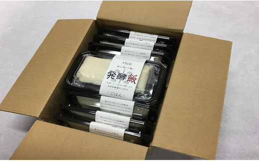発酵飯10個【100g×10p】【AD24W】