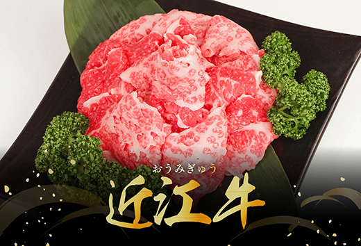 【年内発送】近江牛A5ランク切落し【500g】【訳あり】【DG12W