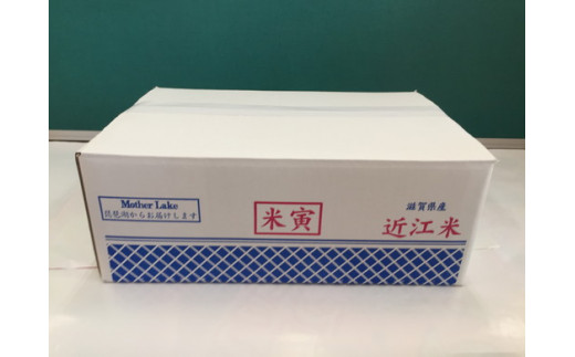 【新米】【7年産】近江米夢ごこち【5kg×2袋】【T035W2】