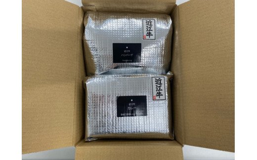 近江牛カレー（200ｇ×5パック）＆近江牛ハンバーグ（150g×6