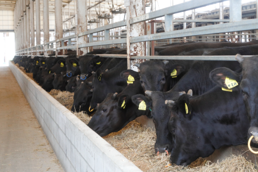 【カメチク】近江牛ロースステーキ200g 【FK01W】