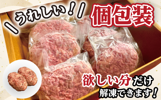 近江牛１００％　プレミアム生ハンバーグ　720g（約120g×6個