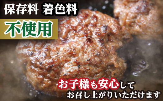 近江牛１００％　プレミアム生ハンバーグ1.2kg（約120g×10個
