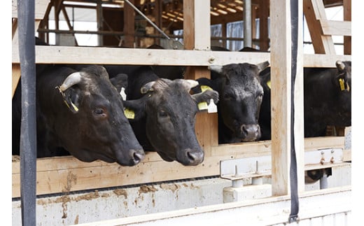 【森三商会】4等級以上の未経産雌牛限定　近江牛赤身しゃ