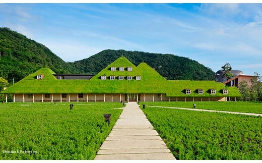 【たねや】福寿芋９個入【FT14W】