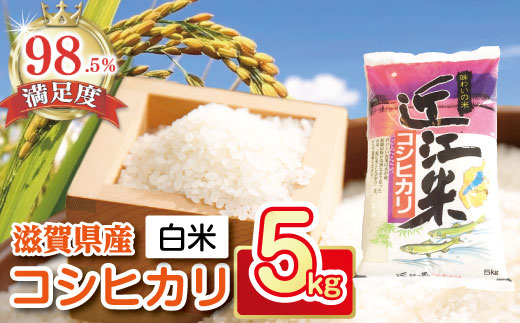 【新米】【7年産】近江米こしひかり【5kg×1袋】【T019W2】