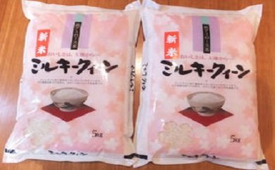【新米】【7年産】近江米ミルキークイーン【10kg（5kg×2袋）