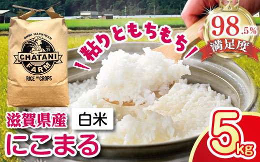 【新米】【7年産】近江米にこまる白米5kg【V017W】