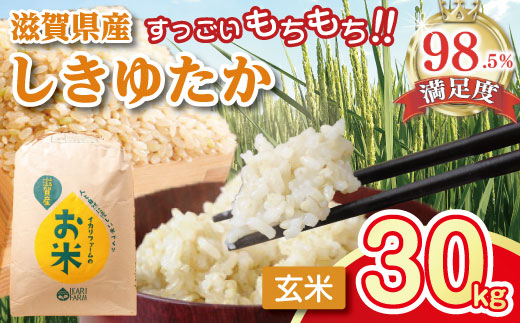 【新米】【7年産】すっごいもちもち　「しきゆたか」　玄