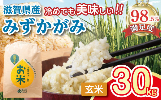 【新米】【7年産】冷めても美味しいあっさりとした味わい