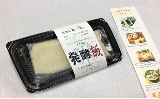 発酵飯10個【100g×10p】【AD24W】