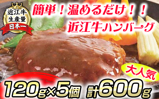 【総本家肉のあさの】近江牛ハンバーグ【600ｇ（120ｇ×5個