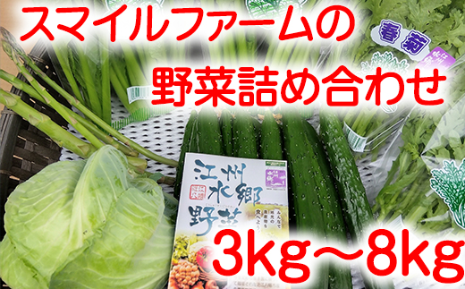 近江農家野菜詰め合わせセット３kg～８kg【FM03U】