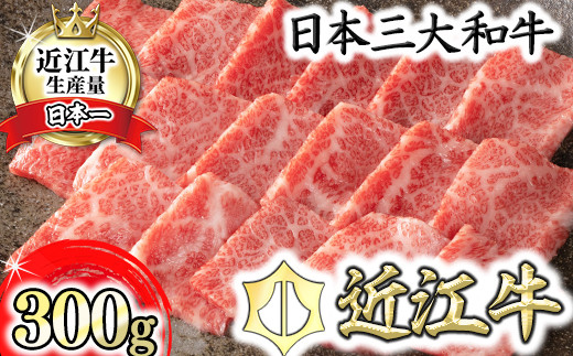 【認定近江牛雌牛限定】近江牛特上焼肉　バラ・モモ300g【