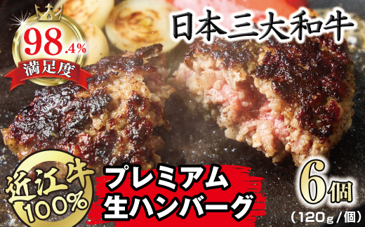 近江牛１００％　プレミアム生ハンバーグ　720g（約120g×6個