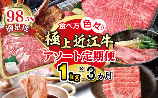 【期間限定】極上近江牛1kg　食べ方色々！アソート定期便