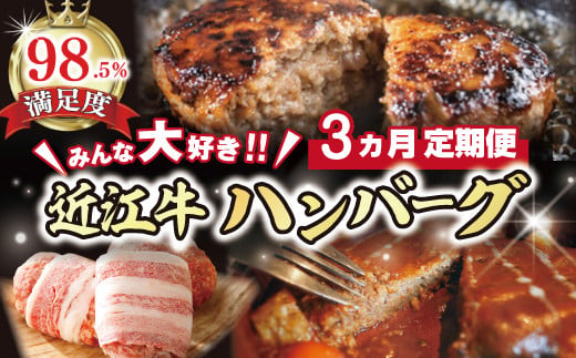 【期間限定】みんな大好き　ハンバーグ定期便【ZZ51W】