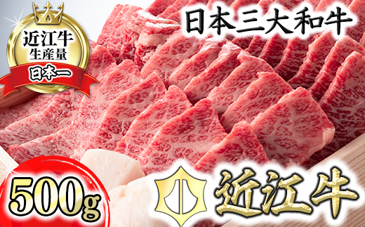 【4等級以上】近江牛バラ焼肉希少部位【500g】折箱入り【H01