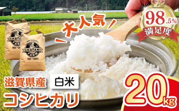 【新米】【7年産】近江米　コシヒカリ　白米【20kg（10kg×2