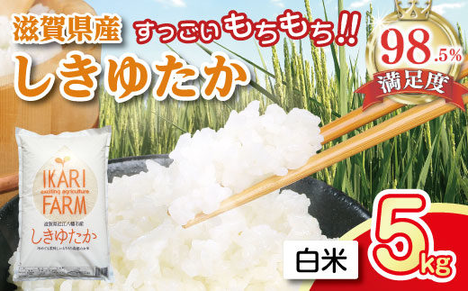 【新米】【7年産】すっごいもちもち 「しきゆたか」 白米