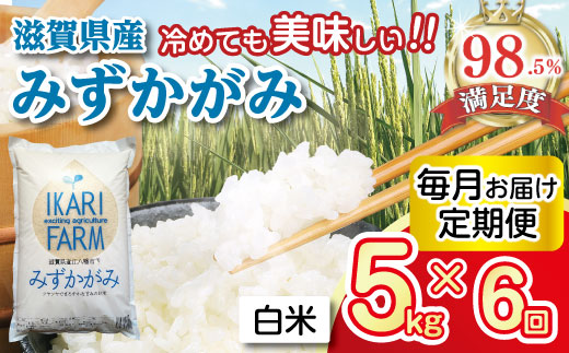 【新米】【7年産】みずかがみ　白米定期便　６か月で５kg