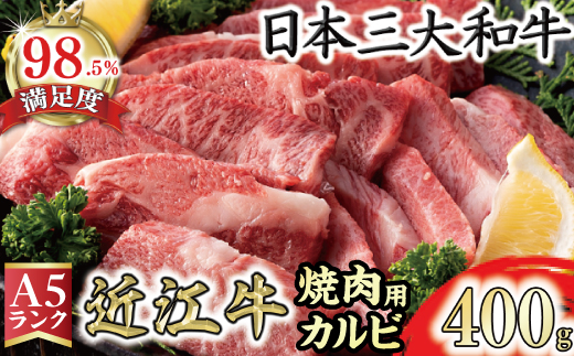 【2月末までに発送】近江牛A5ランクカルビ焼肉用【400g】【D