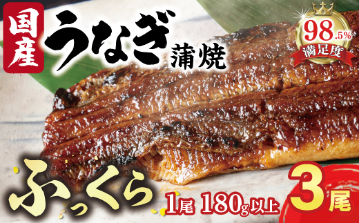 国産うなぎ　備長炭地焼き蒲焼き180g以上×3尾　タレ付き×3