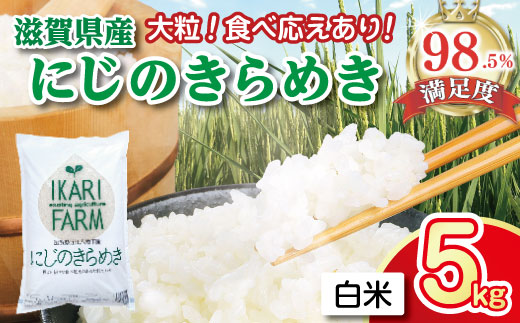 【新米】【7年産】にじのきらめき白米5kg　「大粒で食べ応